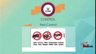 Hydrex Pest Control