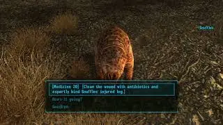 Healing Snuffles