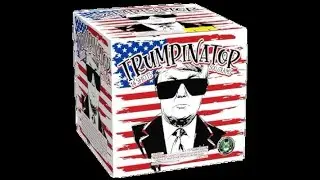TRUMPINATOR - Pyro Demon