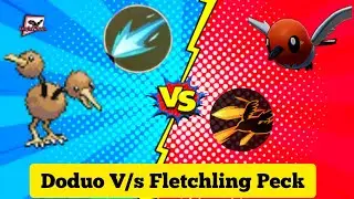 Dodrio V/s Talonflame Peck 🐥🐦