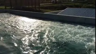 AWMA Flap Gate in Operation