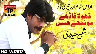 Hik Wari Phera Pa Wanj Dholan Monjhe Hain - Shabbir Haidri - New Song 2017
