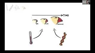 Lisandro Milocco - Prediction and Control in Evolution: From “Survival” to  “Arrival”of the Fittest