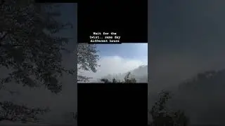 #viralvideo #love #nature #weather #trending #trendingmusic #youtubeshorts