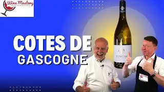🍷 A Surprising French Bargain &ndash; Cotes de Gascogne White Wine Tasting! (Episode 529)