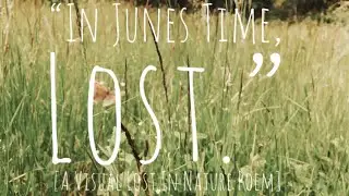 🌾🦋 Visual Poetry That Rhymes - Nature | Lost In Nature [Summer Season] Poem