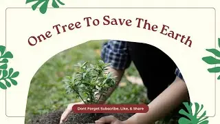 Plant a tree, save a life. More trees, more oxygen. Plant a tree today, for a better tomorrow.