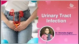 Understanding UTIs: Causes, Symptoms & Treatment by Dr. Shumaila Asghar in Urdu