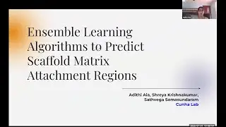 Ensemble Learning Algorithms to Predict Scaffold Matrix Attachment Regions