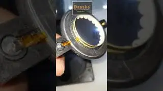 Yashica-Dasska 450 blue diaphragm, P audio replacement, Lotus - special wire