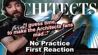 New Architects 2024! Whiplash Guitar Reaction And Long Opinion..