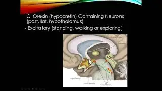 Sleep Disorders