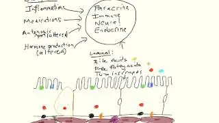 Pediatric Chronic Diarrhea, Part 1 of 2