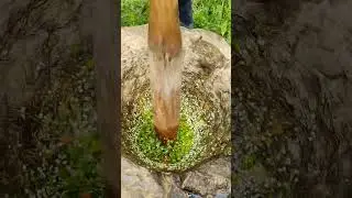 Pahadi Traditional Cooking🍲