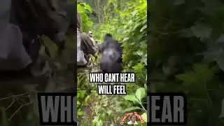 Who can&rsquo;t hear will feel #community #fyp #jungle #animals ￼#work #shorts #outdoors #newjob ￼