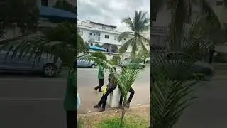 How Nigerian, Igbo Youths Are Being Lured To Kuwait With Fake Job Promises.
