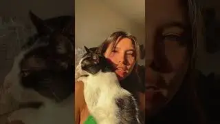 Mon chat me fait des c&acirc;lins