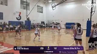 Havoc Elite 16 Pur vs. Volt 16 Black (2026.01.18)