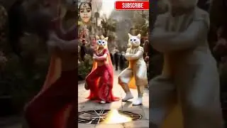 Apate apate APT Cat Dance😅😅 #apt #shorts #funnycat #cat #apt  #catvideos #ytshorts #cute #dancecat