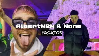 AlbertNBN x Nane - Pacatos (leak 3) #shorts.