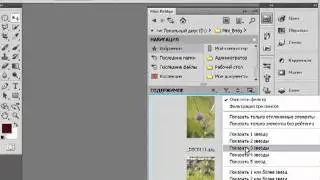 Уроки Adobe Photoshop | работа с приложением Mini Bridge №2