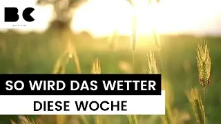 Rekordsommer nimmt kein Ende: So wird das Wetter diese Woche