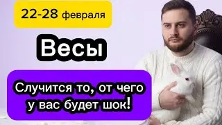 Весы - 22-28 февраля. Таро. Случится то, от чего у вас будет шок! 