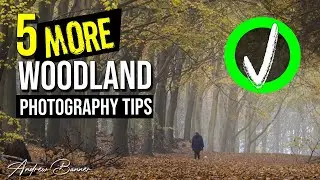 IMPROVE your Woodland Photos - 5 Quick hints & tips for forest photos