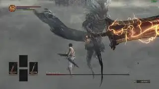 Nameless King - SL1 NG+7 No Sprint/Roll/Block/Rings/Buffs/Damage