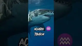 QUE ANIMAL TE PROTEGE SEGUN TU SIGNO PARTE 2  &Uacute;LTIMA PARTE #Animales #signoszodiacales #viral