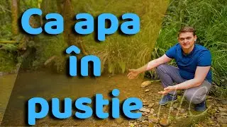 Ca apa în pustie