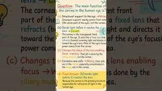 Neet notes MCQ #neetnotes #biology #biologynotes #sciencelearning #ncertbiology #handwrittennotes