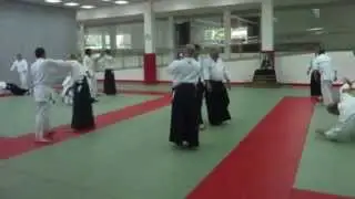 Seminario Aikido FAA Donostia 2014