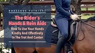 The Rider’s Hands & Rein Aids: How To Use Your Hands Kindly and Effectively In The Trot & Canter