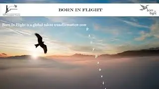 Neuro Linguistic Programming | Born In Flight