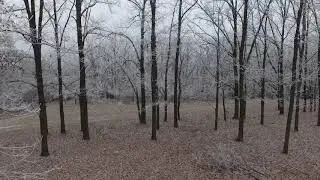 Разбил квадрокоптер о дерево. Winter fail