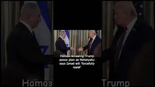Hamas reviewing Trump peace plan as Netanyahu says Israel will 'forcibly resist' #news #ytshorts