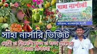 জিরাতে সাহা নার্সারি ভিজিট/ Jirat Saha Nursery Visit.