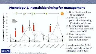 Post-hurricane insect and snail management