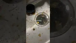 How to Unclog a Garbage Disposal | Kitchen Sink Wont Drain | #internationaljazzday #highlyhandy #diy
