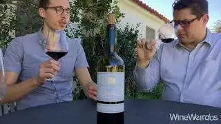 2015 Chateau Bellevue Cotes de Bordeaux Cotes de Castillon France Red wine