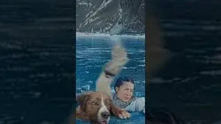 buck dog  movie scenes#foryou #fyp #viral #hollywood #trending #movie
