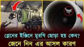 মুরগি দিয়ে জেট ইঞ্জিন পরীক্ষা করা হয় কেন? জেনে নিন আসল কারন | Jet Engine Test | Jogot TV