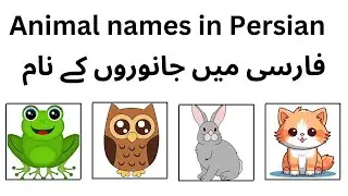 Learn Animal Names in Persian | Fun & Easy Persian Vocabulary 🐘🐦