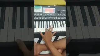 HOT Sampling Bass Pa600