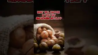 7 Amazing Health Benefits of Macadamia Nuts! | #brainfood #hearthealth #healthynuts #snacksmart