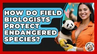 How Do Field Biologists Protect Endangered Species? - Animal Care Jobs