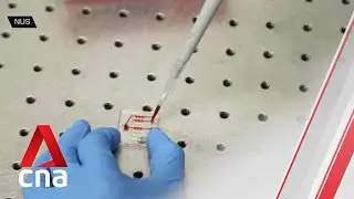 NUS researchers develop world's first blood test for real-time cancer treatment monitoring
