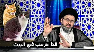 ماهو حكم القط الذي يلعب في البيت ؟ | السيد رشيد الحسيني