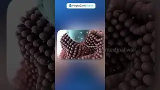 How a Tablet Works Inside Your Body! 💊 | Medical Animation Explained